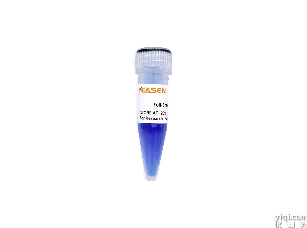 GoldBand Full-Scale DNA Ladder