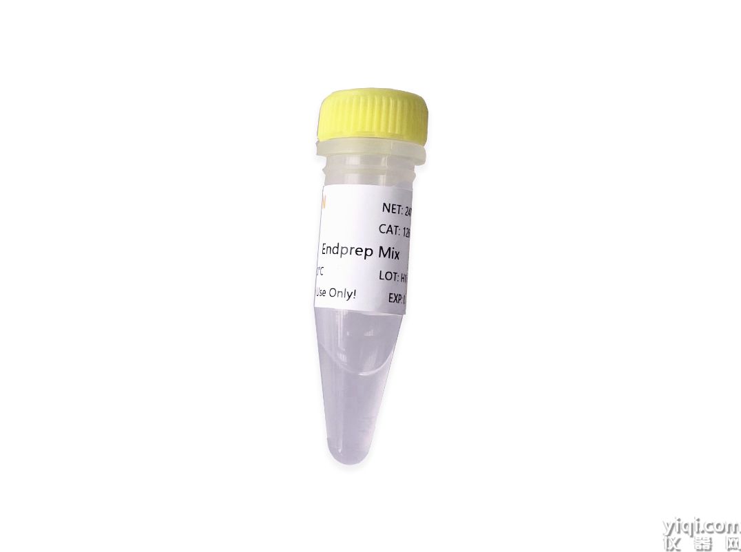 Hieff NGS<sup>?</sup> Ultima? Endprep Mix 快速末端修復/A尾添加模塊