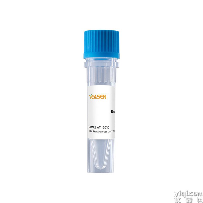 Recombinant Rat IL-10