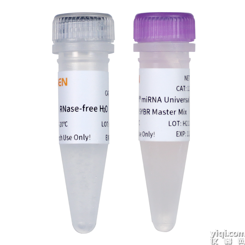 Hieff<sup>®</sup> miRNA UniversalqPCR SYBR Master Mix(加A法)