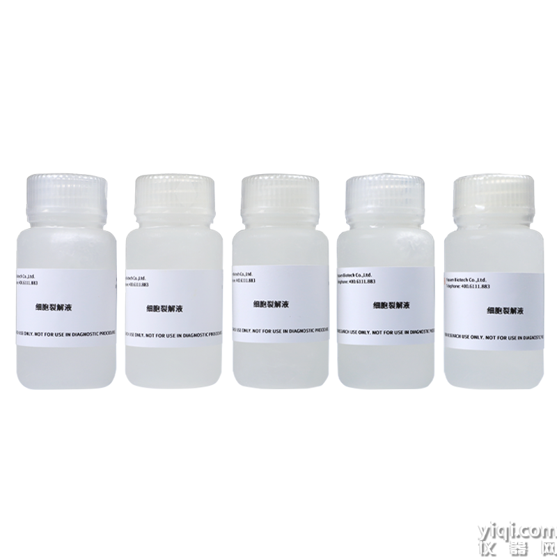 Dual Luciferase Reporter Gene Assay Lysis Component 双萤光素酶报告基因检测裂解组分