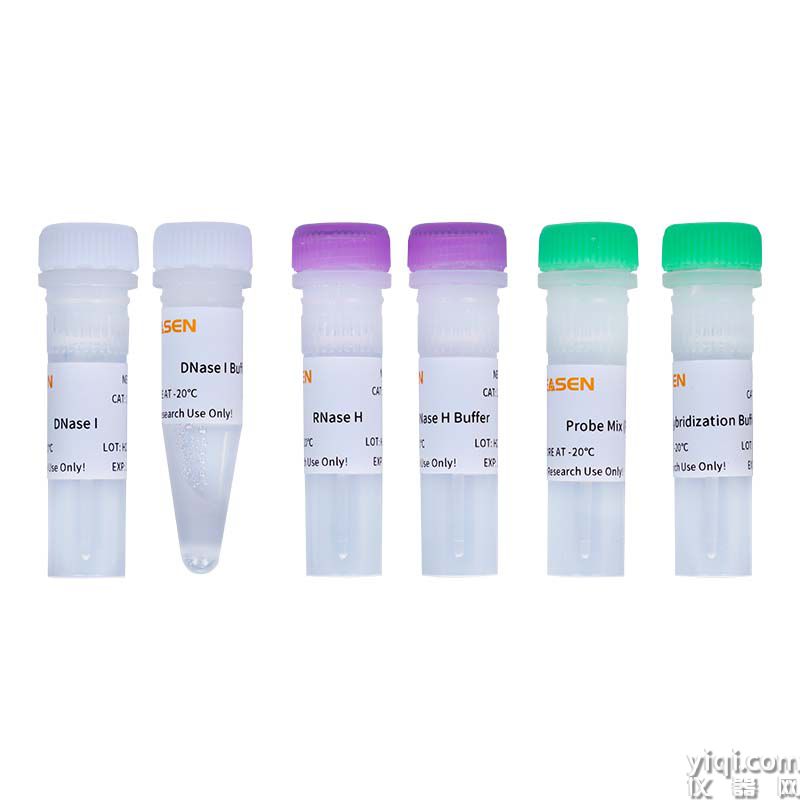 Hieff NGS<sup>?</sup> MaxUp rRNA Depletion Kit(Plant) MaxUp核糖體RNA去除試劑盒(植物)