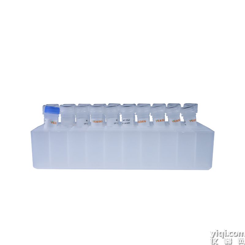 Hieff NGS<sup>?</sup> RNA 384 CDI Primer for Illumina<sup>?</sup>