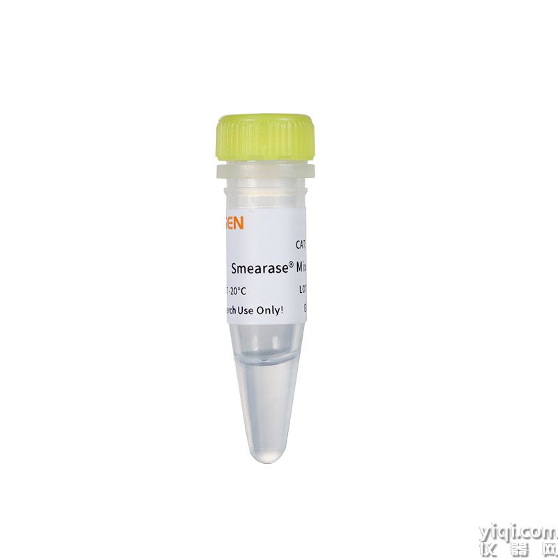 Hieff NGS® Fast-Pace DNA Fragmentation Reagent 快速片段化/末端修复/A尾添加模块