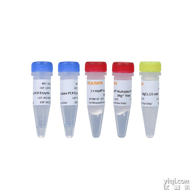 Hieff<sup>?</sup> Multiplex PCR Kit(Mg2+ free)