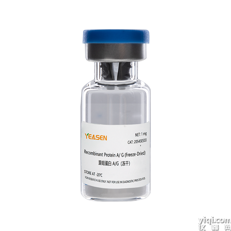 Recombinant Protein A/G（Freeze-Dried）重組蛋白A/G (凍干）