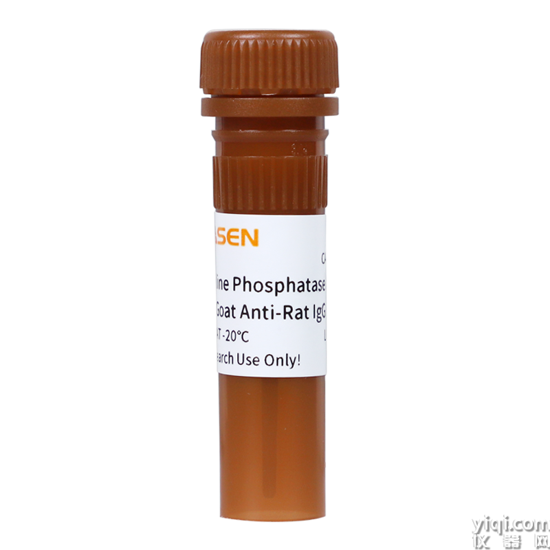 Alkaline Phosphatase AffiniPure Goat Anti-Rat IgG(H+L)  堿性磷酸酶標(biāo)記山羊抗大鼠IgG(H+L)