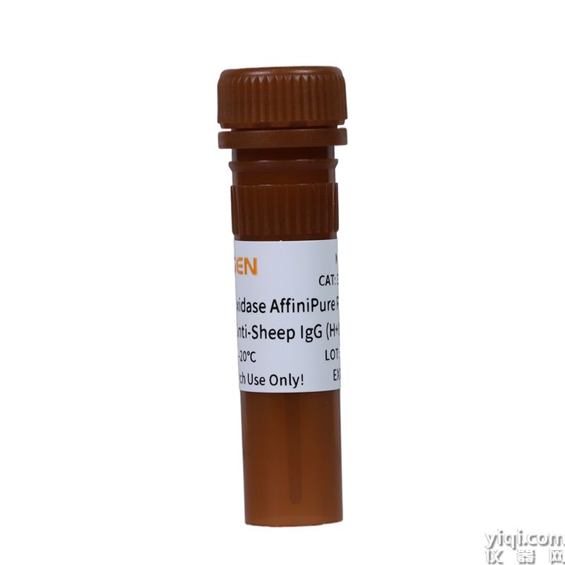 Peroxidase AffiniPure Rabbit Anti-Sheep IgG(H+L)  過氧化物酶標記兔抗綿羊IgG(H+L)