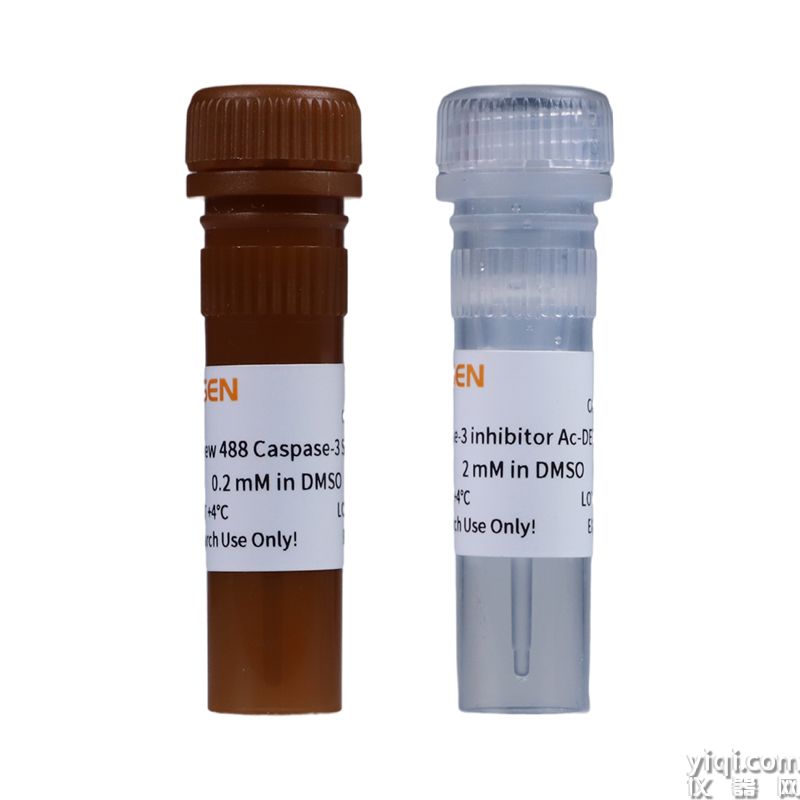SuperView™ 488 Caspase-3 Assay Kit for Live Cells SuperView™ 488 Caspase-3活细胞分析试剂盒