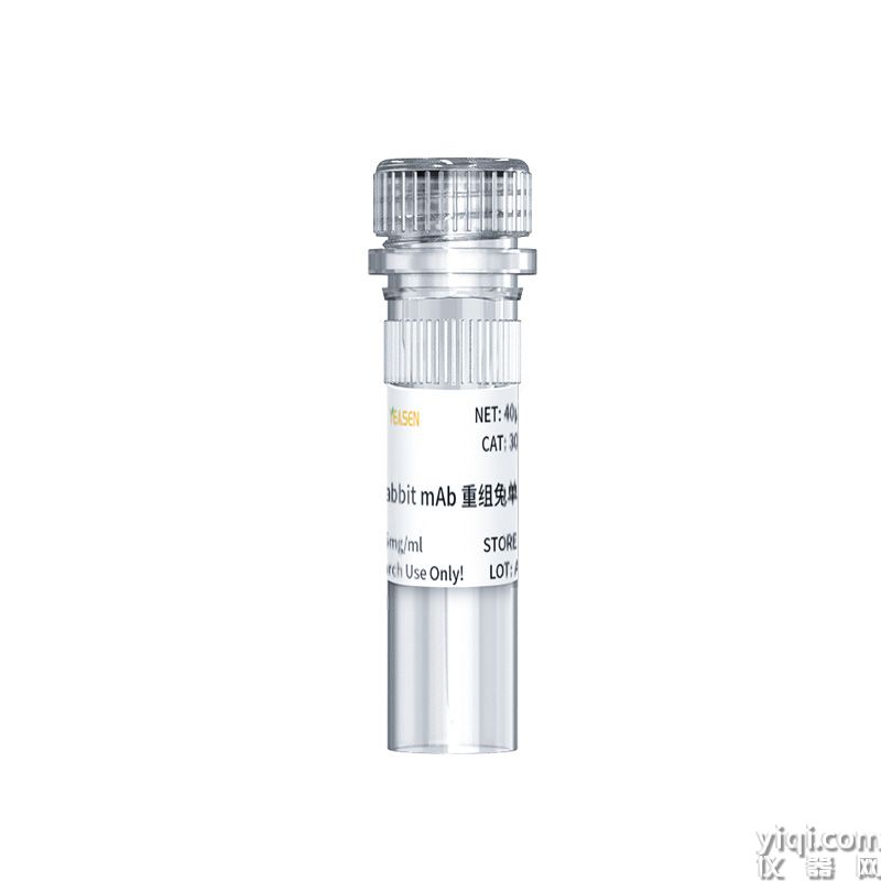 GSDMD Rabbit mAb