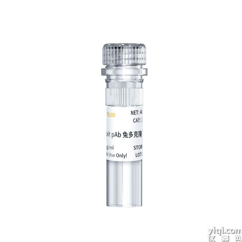 PI3 Kinase p110 alpha Rabbit pAb 兔多克隆抗體