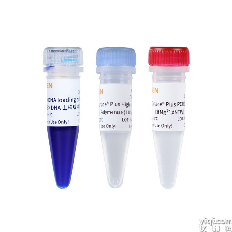 83倍Taq高保真酶Hieff Canace® Plus High-Fidelity DNA Polymerase