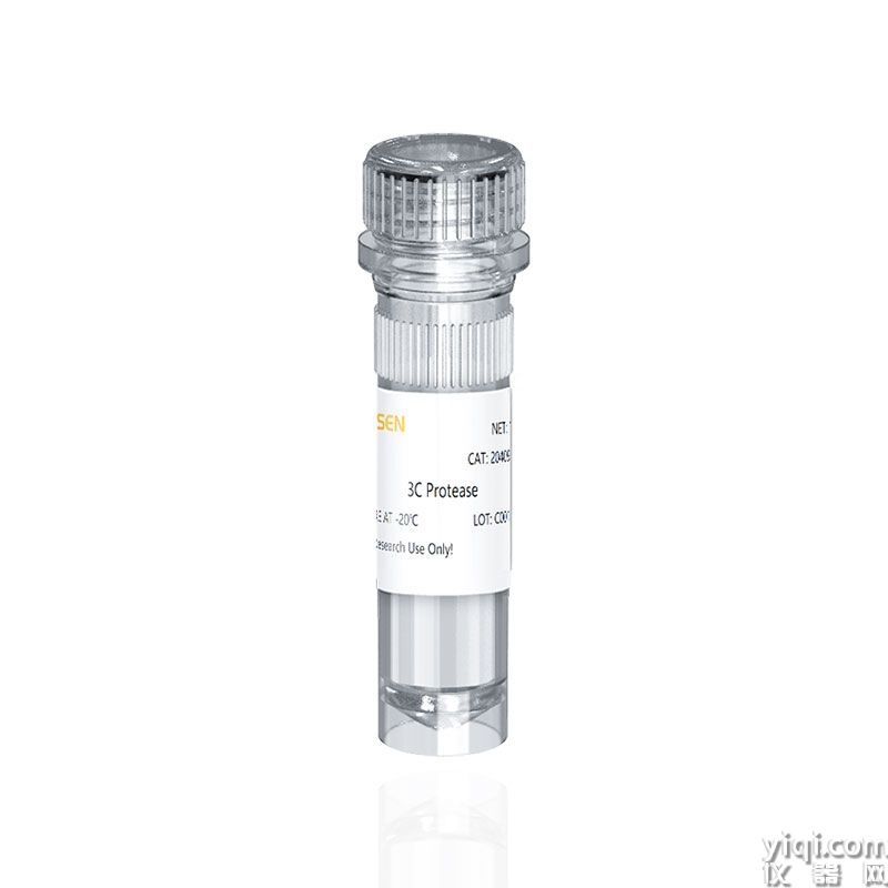 3C Protease
