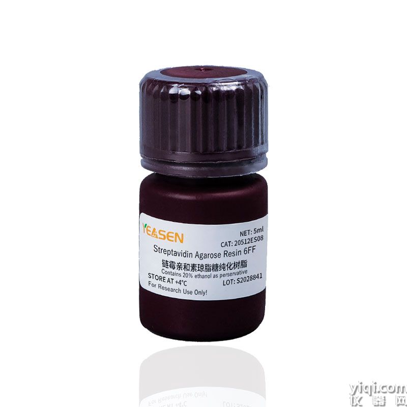 Streptavidin Agarose Resin 6FF 链霉亲和素琼脂糖纯化树脂