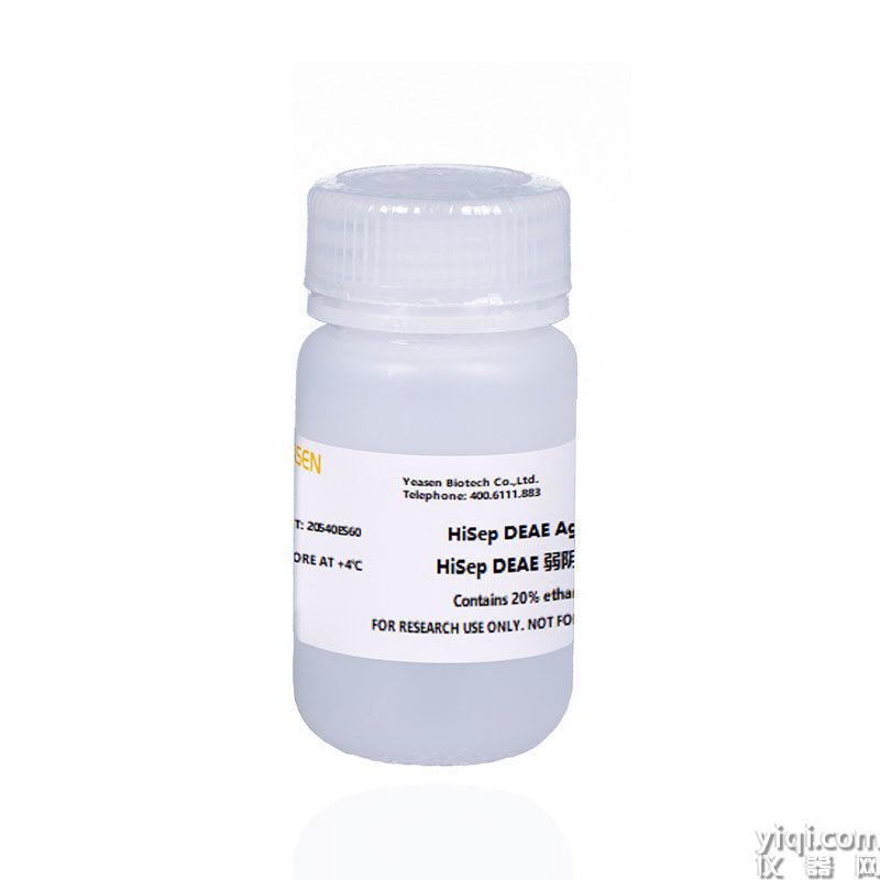 DEAE Agarose 6FF