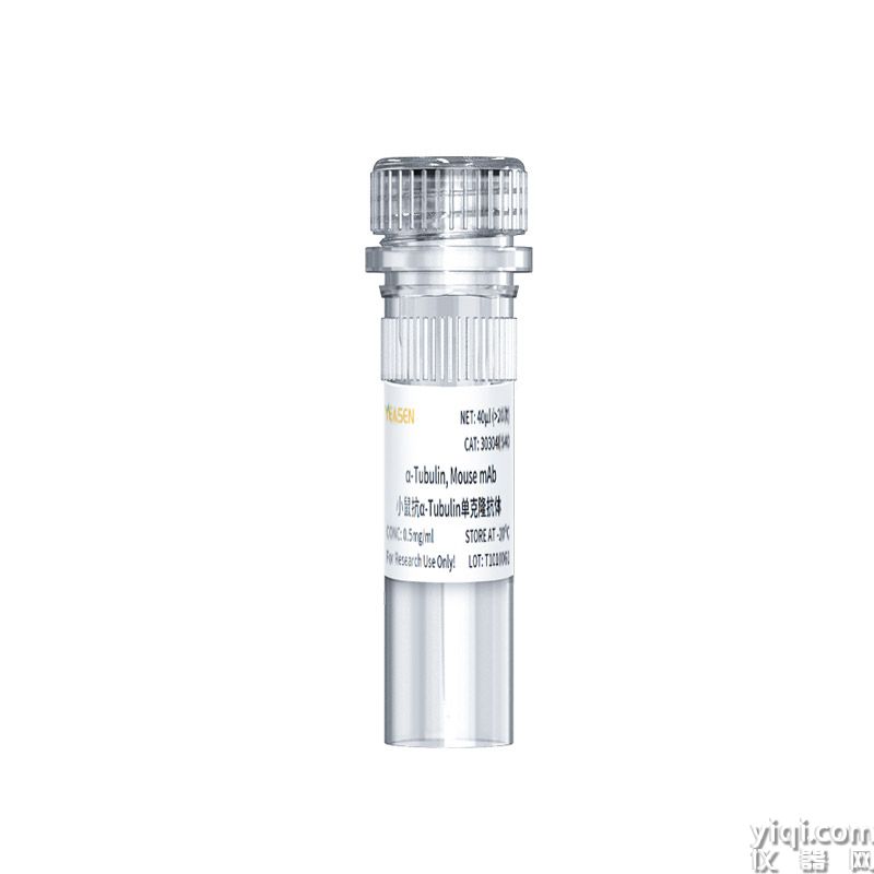 α-Tubulin,Mouse mAb 小鼠抗α-Tubulin单克隆抗体