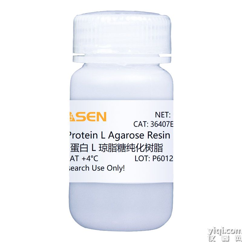 rProtein L Agarose Resin 蛋白L琼脂糖纯化树脂