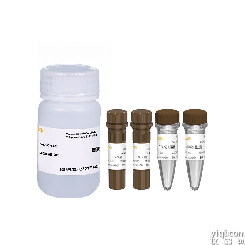 CFDA SE Cell Proliferation and Cell Tracking Kit 细胞增殖与示踪检测试剂盒