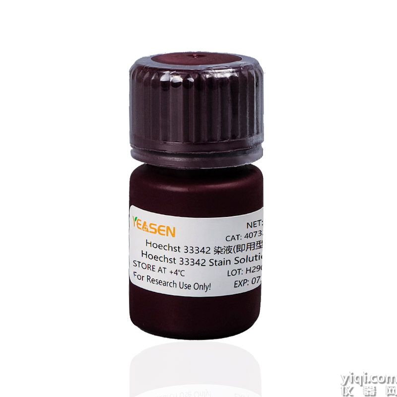 Hoechst 33342 染液(1 mg/mL)Hoechst 33342 Stain Solution(1mg/ml)