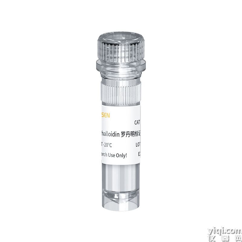 FITC Phalloidin FITC标记鬼笔环肽