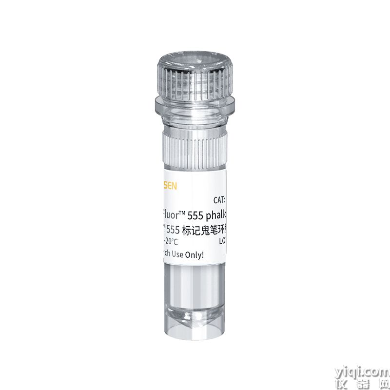 iFluor™ 555 phalloidin iFluor™ 555标记鬼笔环肽(橘色)