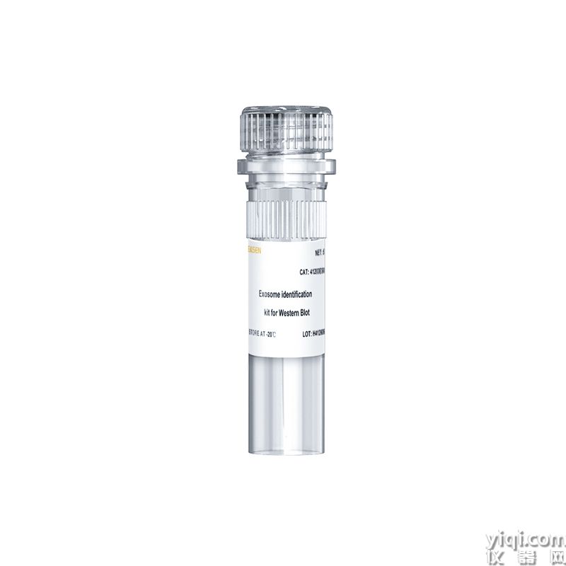Exosome identification kit for Western Blot 外泌体鉴定试剂盒