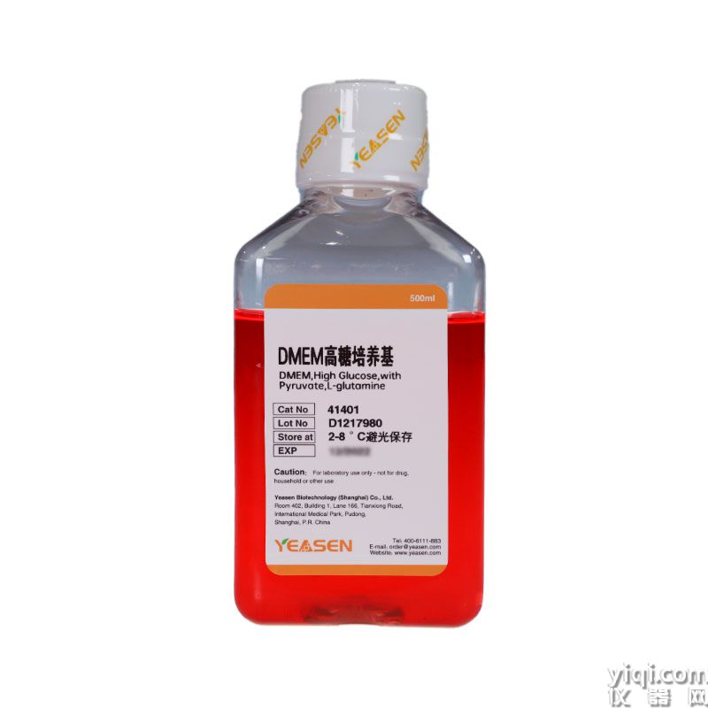 DMEM高糖培养基(含L-谷氨酰胺,丙酮酸钠110mg/L；不含HEPES,双抗)