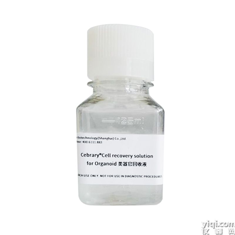 Cebrary®Cell recovery solution for Organoid类器官回收液