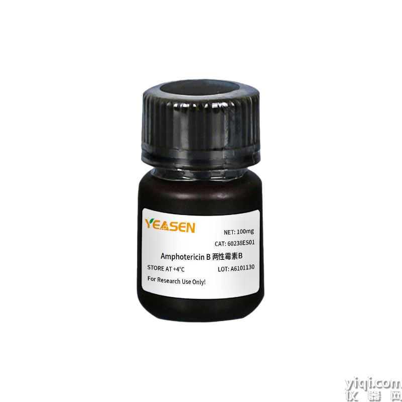 Amphotericin B 两性霉素B | CAS 1397-89-3