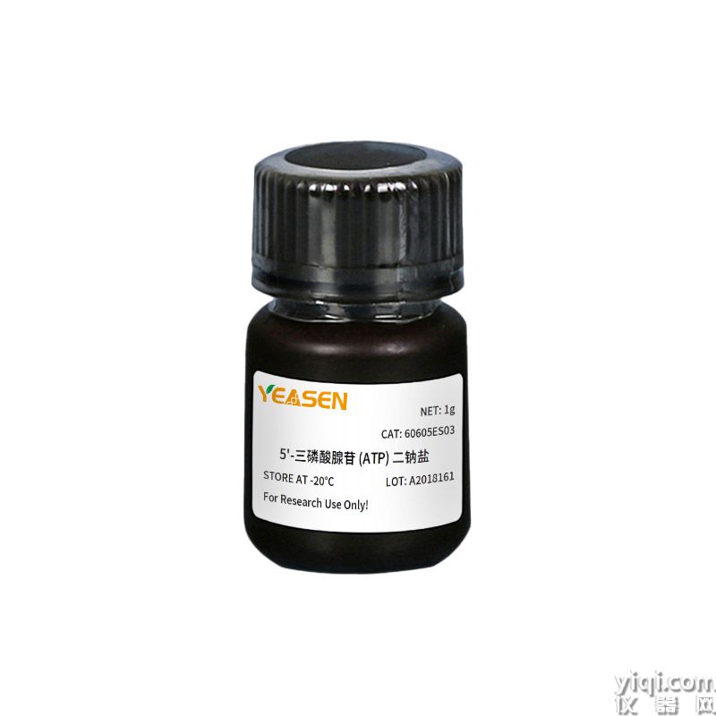 Adenosine 5'-triphosphate(ATP) disodium salt 5'-三磷酸腺苷(ATP)二钠盐 | CAS 34369-07-8