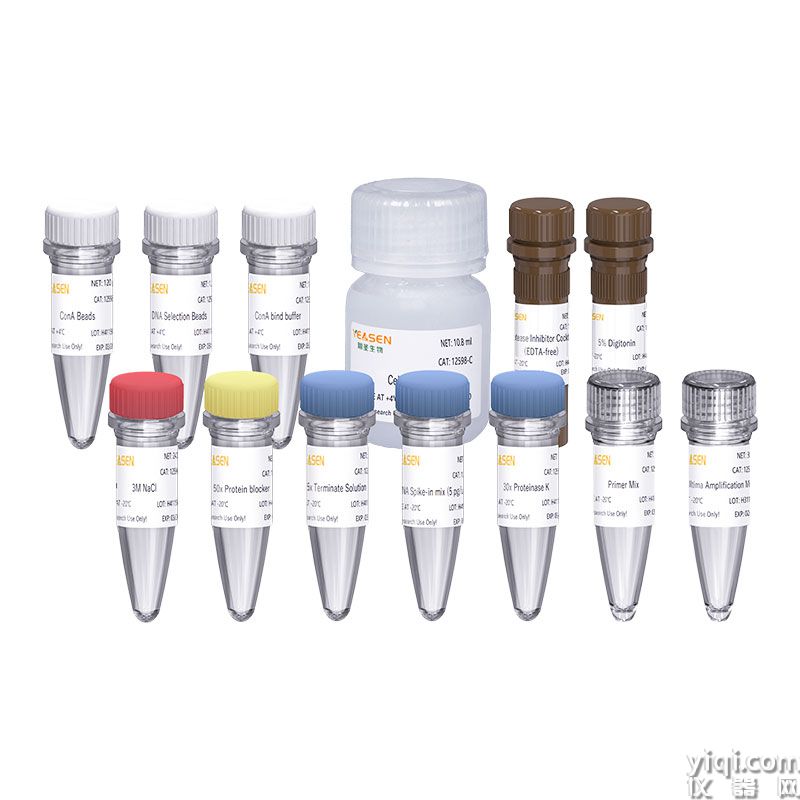 Hieff NGS<sup>?</sup> G-Type In-Situ DNA Binding Profiling Library Prep Kit for Illumina<sup>?</sup> CUT&Tag建庫試劑盒