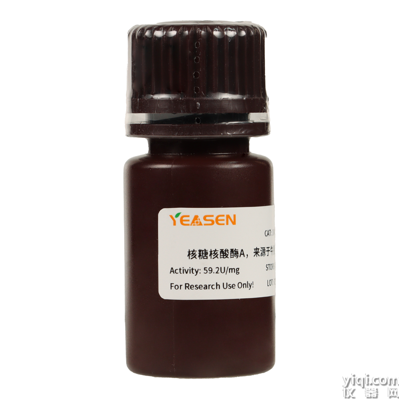 Ribonuclease A(RNase A),from bovine pancreas 核糖核酸酶A,來源于牛胰腺