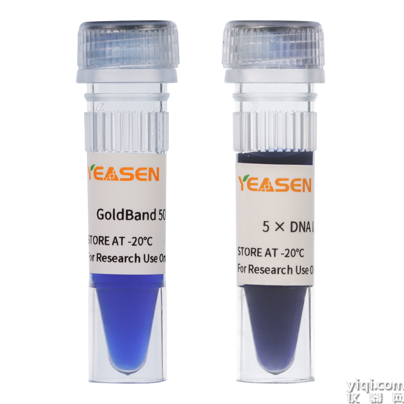 GoldBand 50bp DNA Ladder