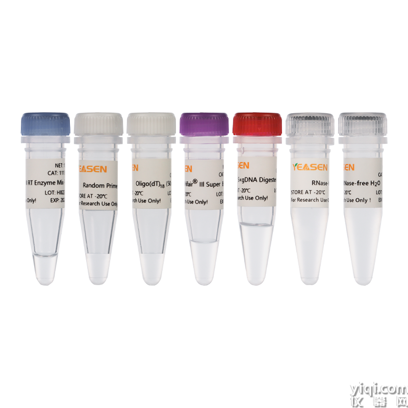 Hifair<sup>?</sup> III 1st Strand cDNA Synthesis Kit(gDNA digester plus)