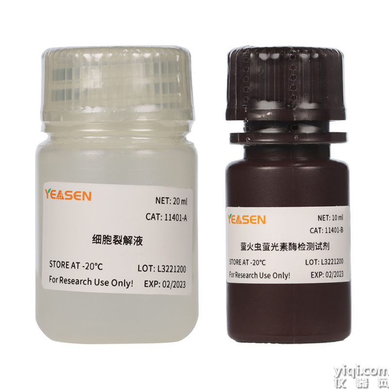 Luciferase Reporter Gene Assay Kit 螢火蟲螢光素酶報告基因檢測試劑盒