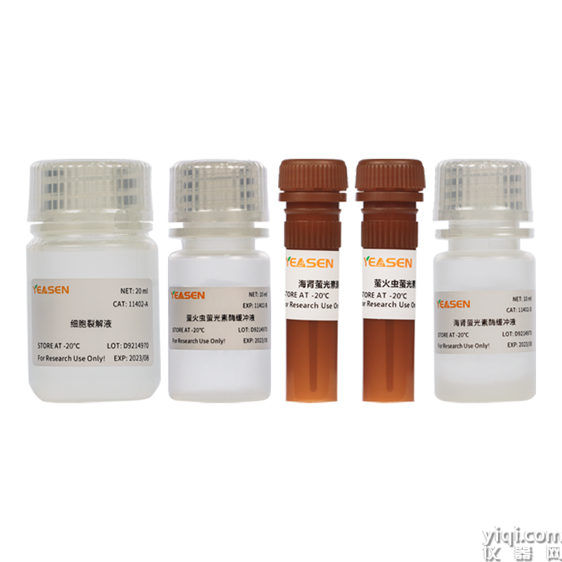 Dual Luciferase Reporter Gene Assay Kit 雙螢光素酶報(bào)告基因檢測(cè)試劑盒