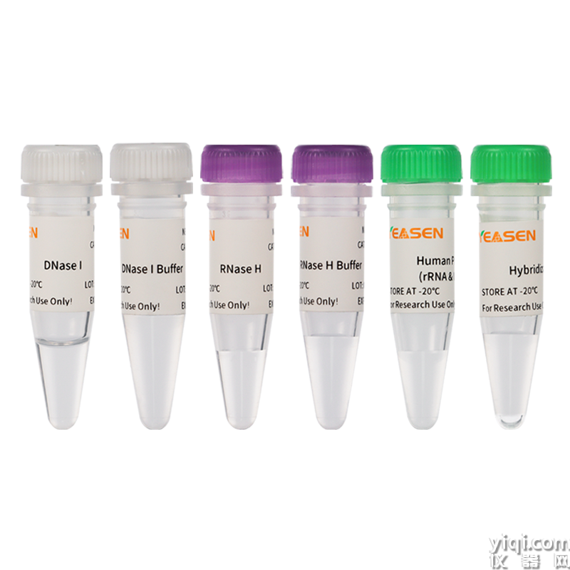 Hieff NGS MaxUp Human rRNA Depletion Kit(rRNA & ITS/ETS) MaxUp核糖體RNA去除試劑盒(Human rRNA&ITS/ETS)