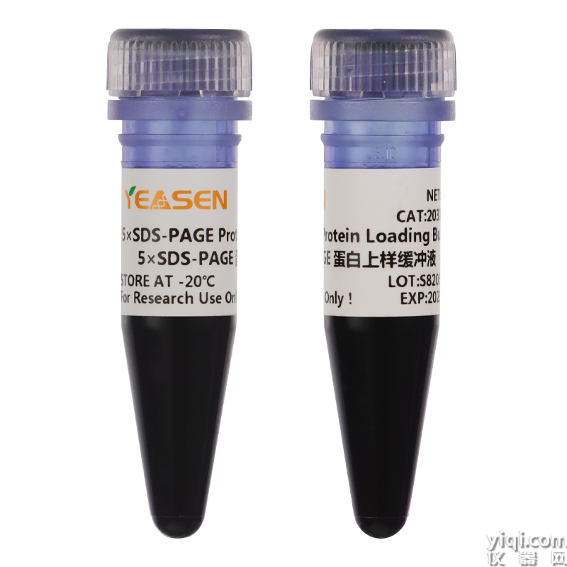 5×SDS-PAGE Protein Loading Buffer 5×SDS-PAGE蛋白上樣緩沖液
