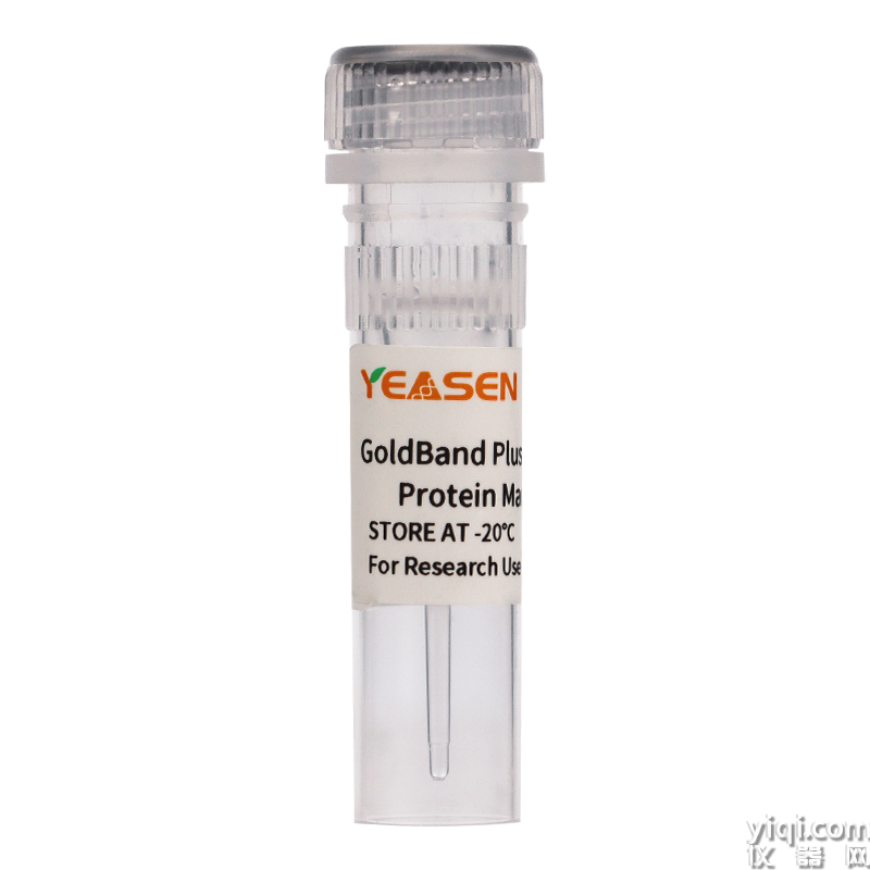 GoldBand Plus 3-color High Range Protein Marker(25-300 KDa) 三色預染高分子量蛋白質分子量標準(25-300 KDa)