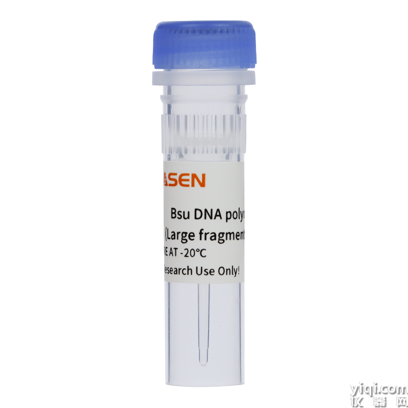 Bsu聚合酶-Bsu DNA polymerase (Large fragment, 5 U/μL)