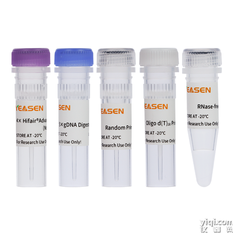 Hifair? AdvanceFast 1st Strand cDNA Synthesis Kit (No Dye)