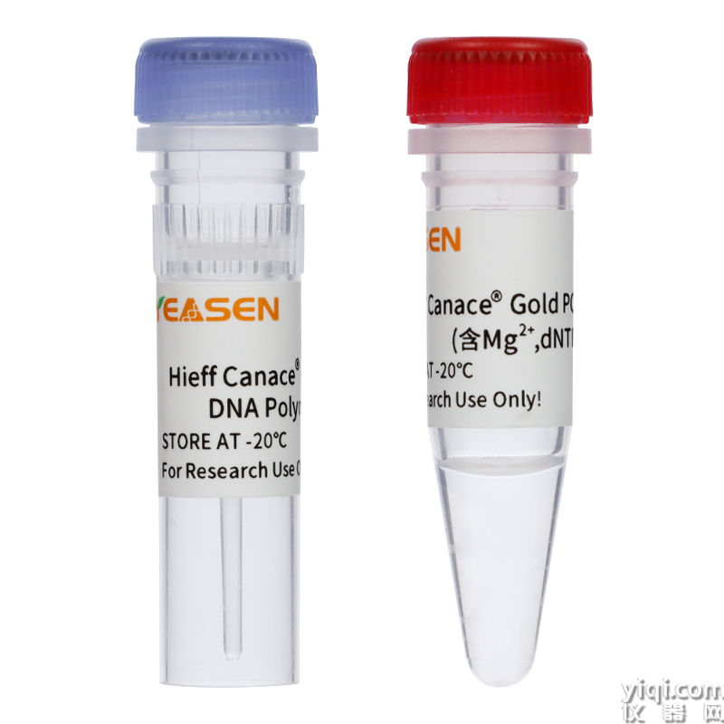 52倍Taq高保真酶Hieff Canace<sup>?</sup> Gold High Fidelity DNA Polymerase