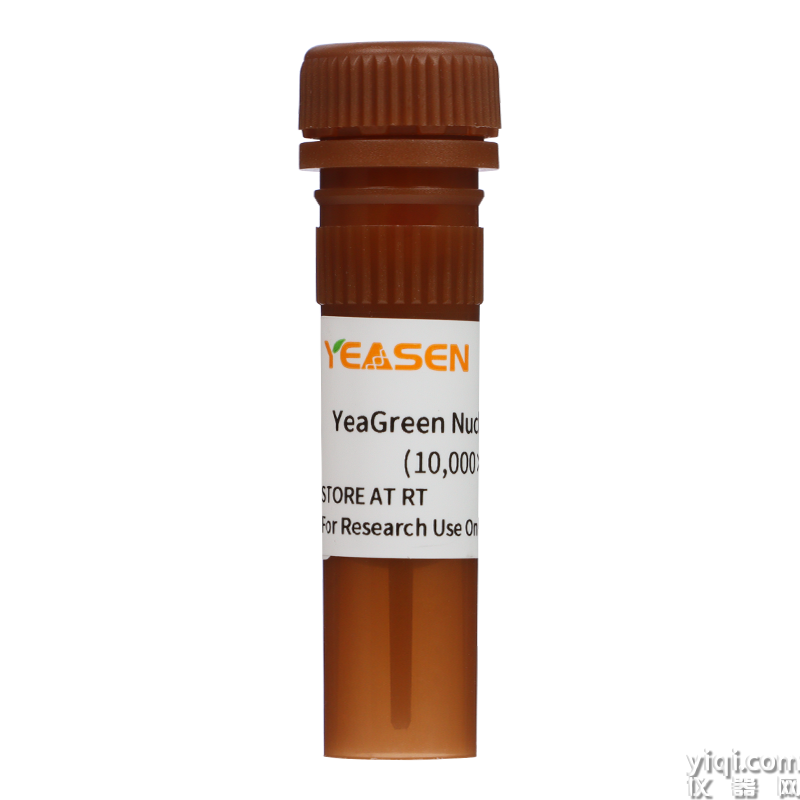 適用藍光，安全無毒！YeaGreen Nucleic Acid Gel Stain (10,000×in Water) 核酸染料