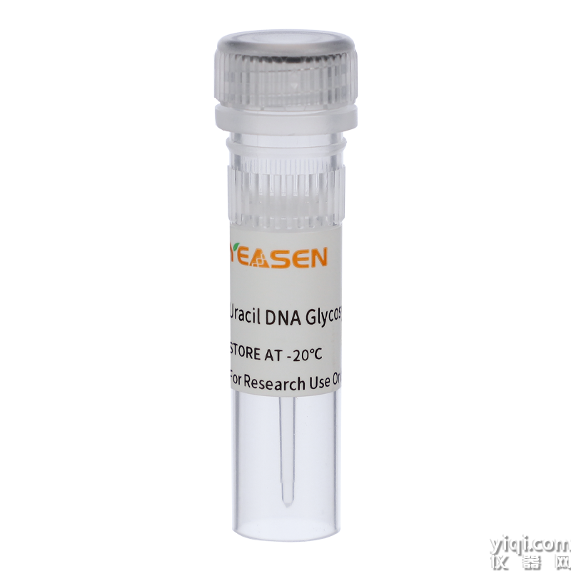Uracil DNA Glycosylase(UDG)