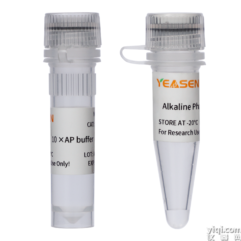 Alkaline Phosphatase(30 U/μl),Calf Intestine(CIAP) 小牛腸堿性磷酸酶