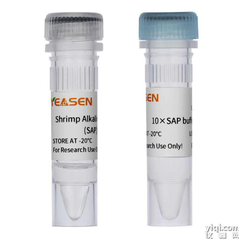Shrimp Alkaline Phosphatase(SAP)(1U/μl) 蝦堿性磷酸酶