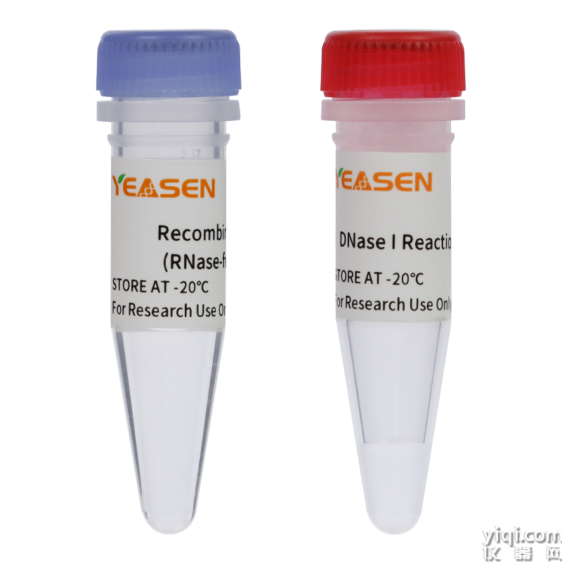 Recombinant DNase I (RNase-free)