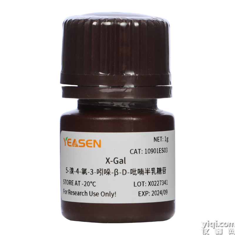 X-Gal 5-溴-4-氯-3-吲哚-β-D-吡喃半乳糖苷
