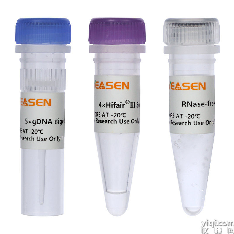 Hifair<sup>?</sup> Ⅲ 1st Strand cDNA Synthesis SuperMix for qPCR (gDNA digester plus)