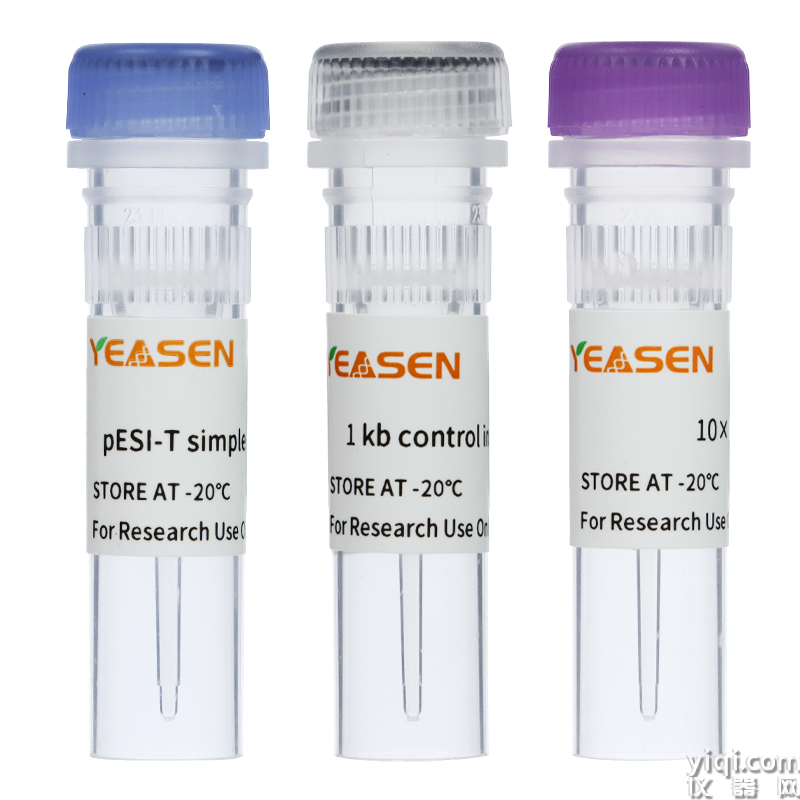 Hieff Clone<sup>®</sup> Zero TOPO-TA Simple Cloning Kit,MCS-Depleted